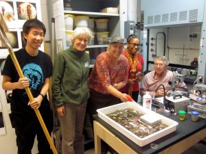 Volunteers at a biological monitoring open lab session