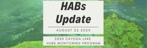 CLWN HABs Update 2020